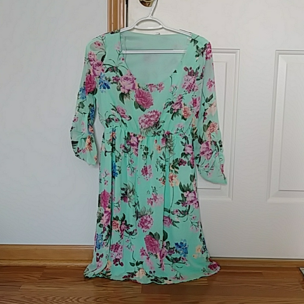 Nwt Maternity Pinkblush mint floral dress